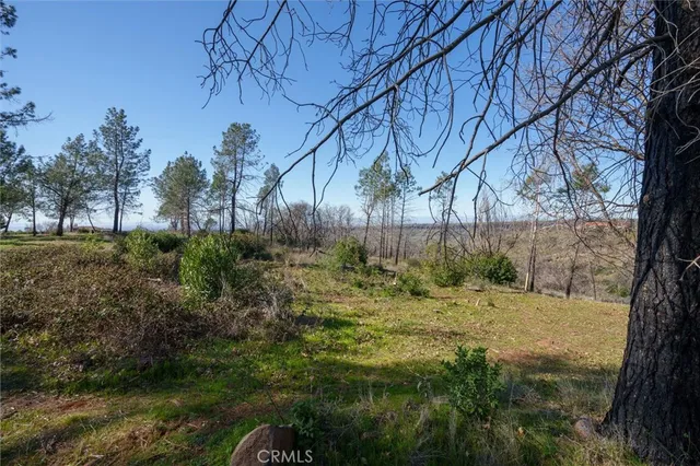 a fire hydrant in the middle of a field