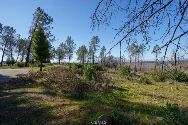 a view of backyard with green space