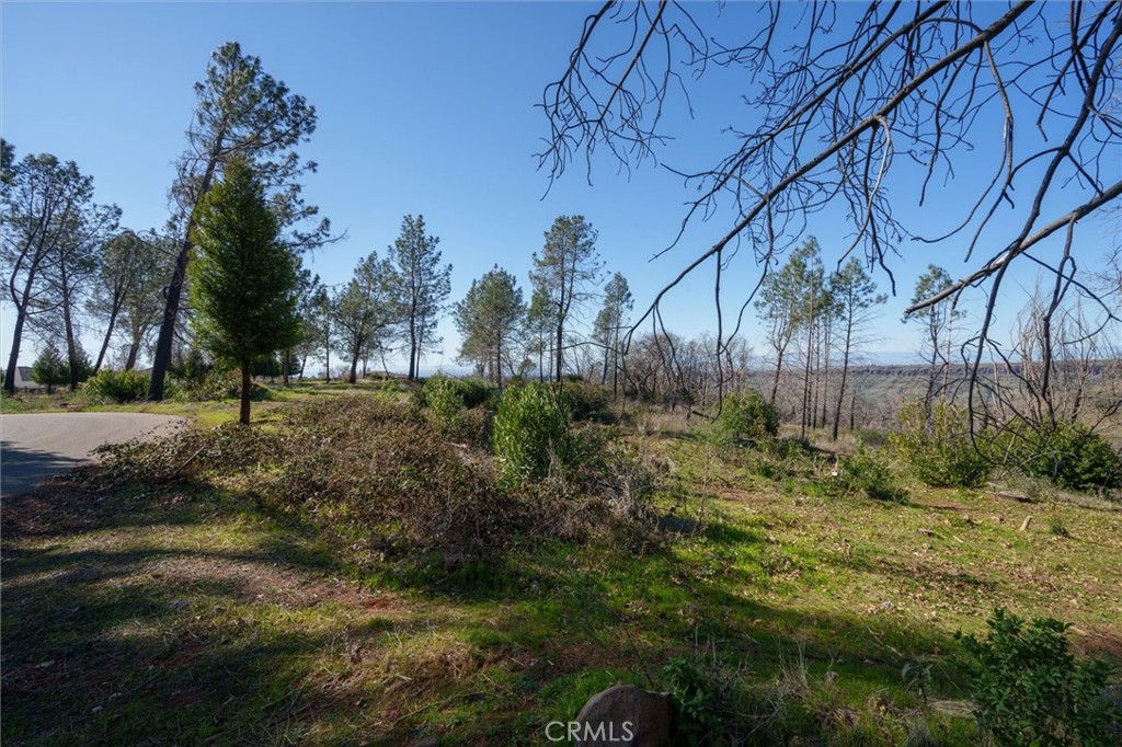 0 Valley View Drive Paradise, CA 95969 - Photo 4 of 27 a view of backyard with green space