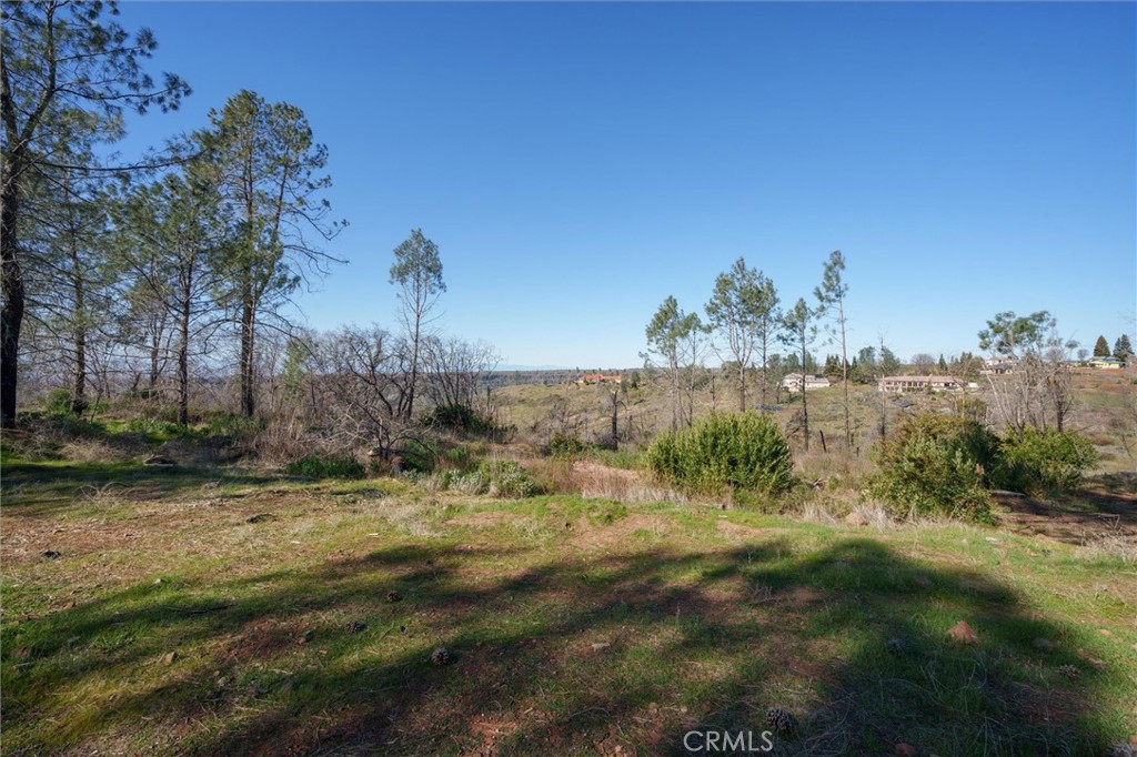 0 Valley View Drive Paradise, CA 95969 - Photo 8 of 27 a view of a yard with plants and a bench