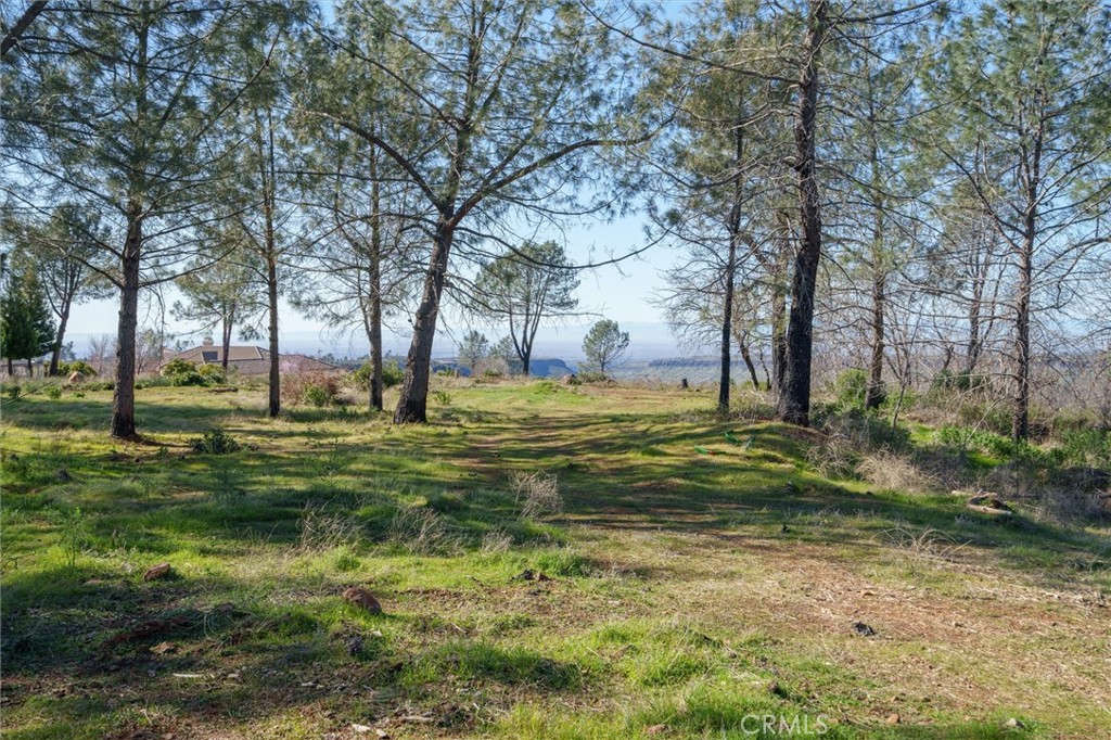 0 Valley View Drive Paradise, CA 95969 - Photo 9 of 27 a view of a yard with a large tree