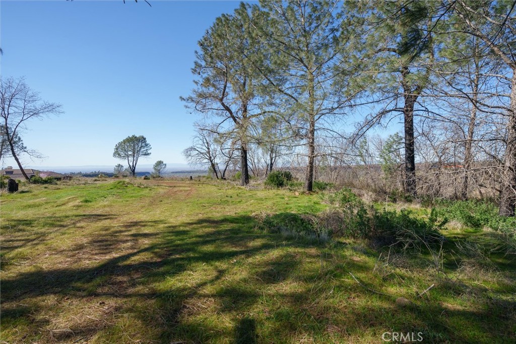 0 Valley View Drive Paradise, CA 95969 - Photo 10 of 27 a view of a field with an trees