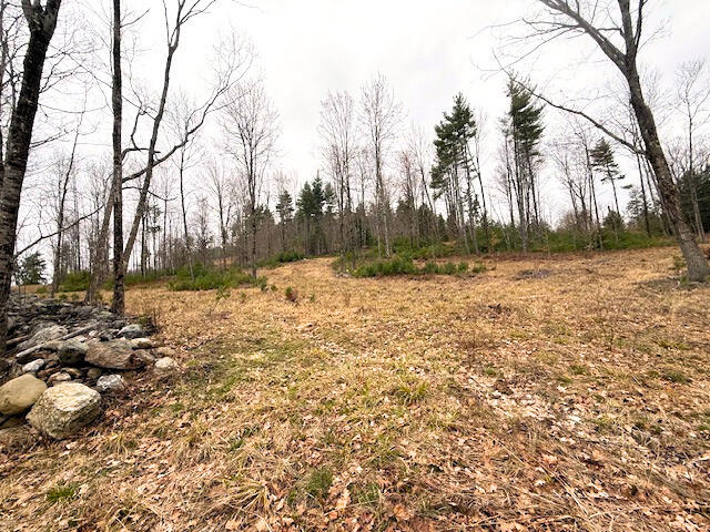 R2 Map Road Limington, ME 04049 - Photo 7 of 9