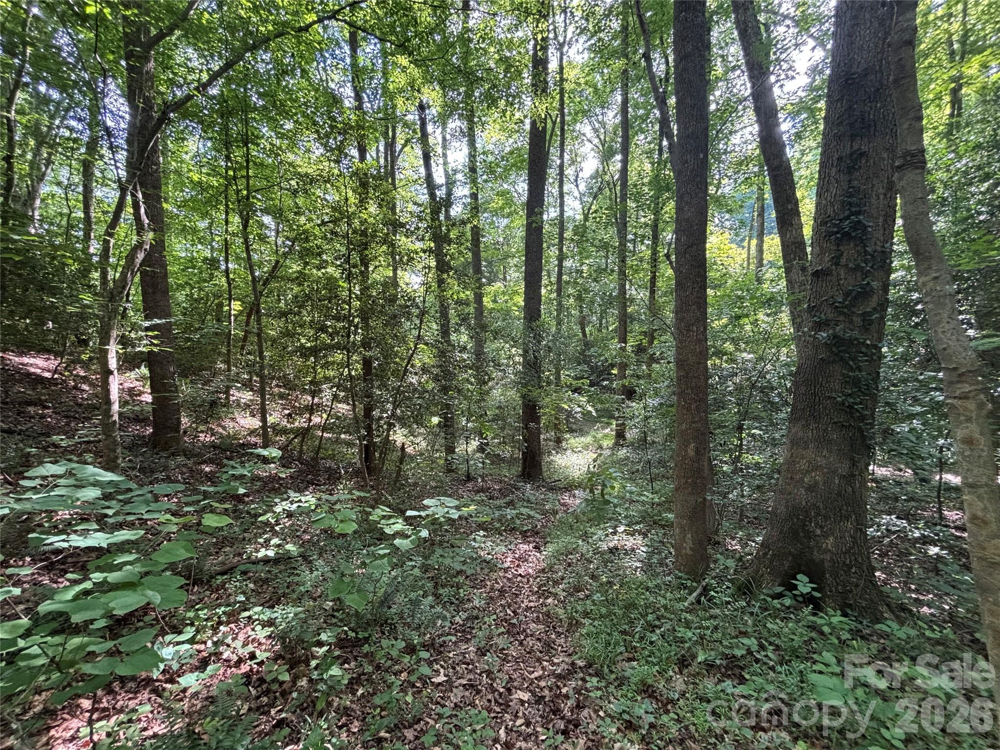 0 Goat Road Catawba, NC 28609 - Photo 7 of 10 a view of forest