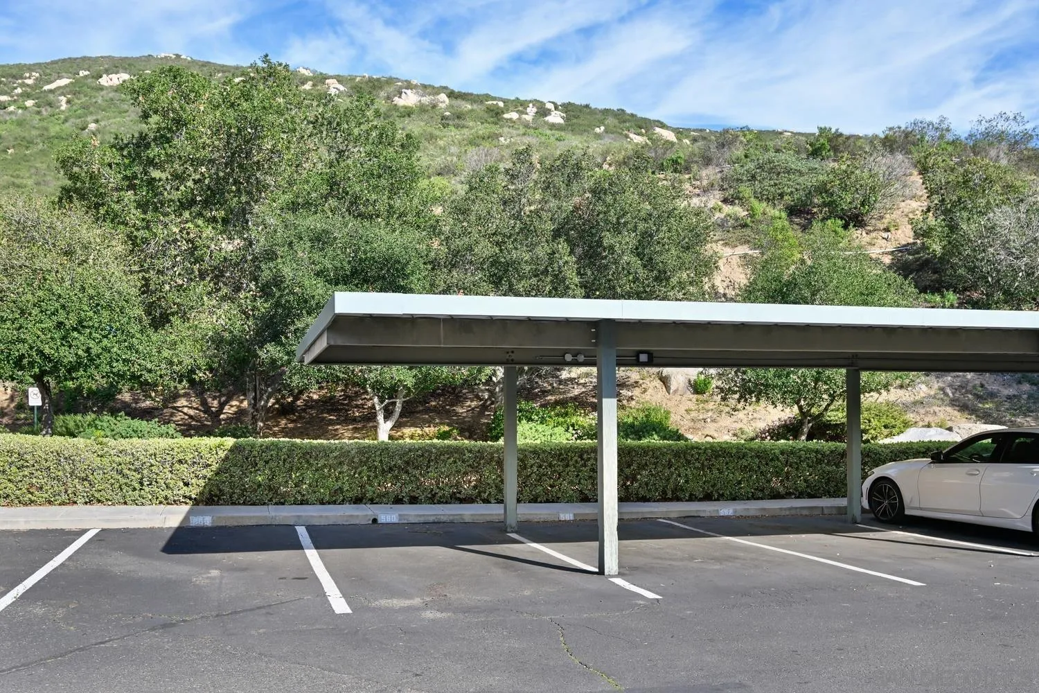 17161 Alva Road, Unit 2416 San Diego, CA 92127 - Photo 20 of 26 a view of backyard with green space