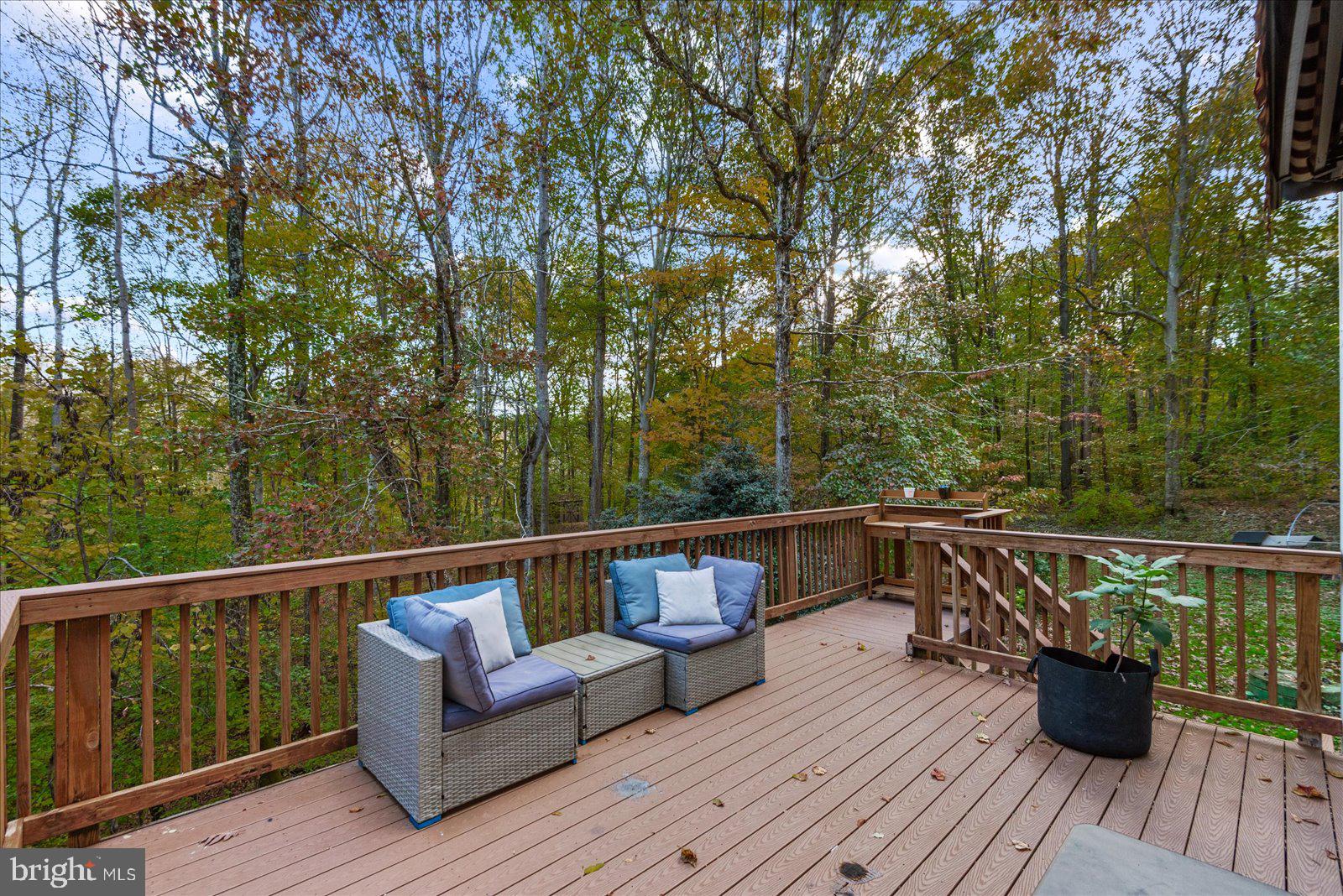 7358 Peppermill Road King George, VA 22485 - Photo 49 of 55 Gallery Image 49