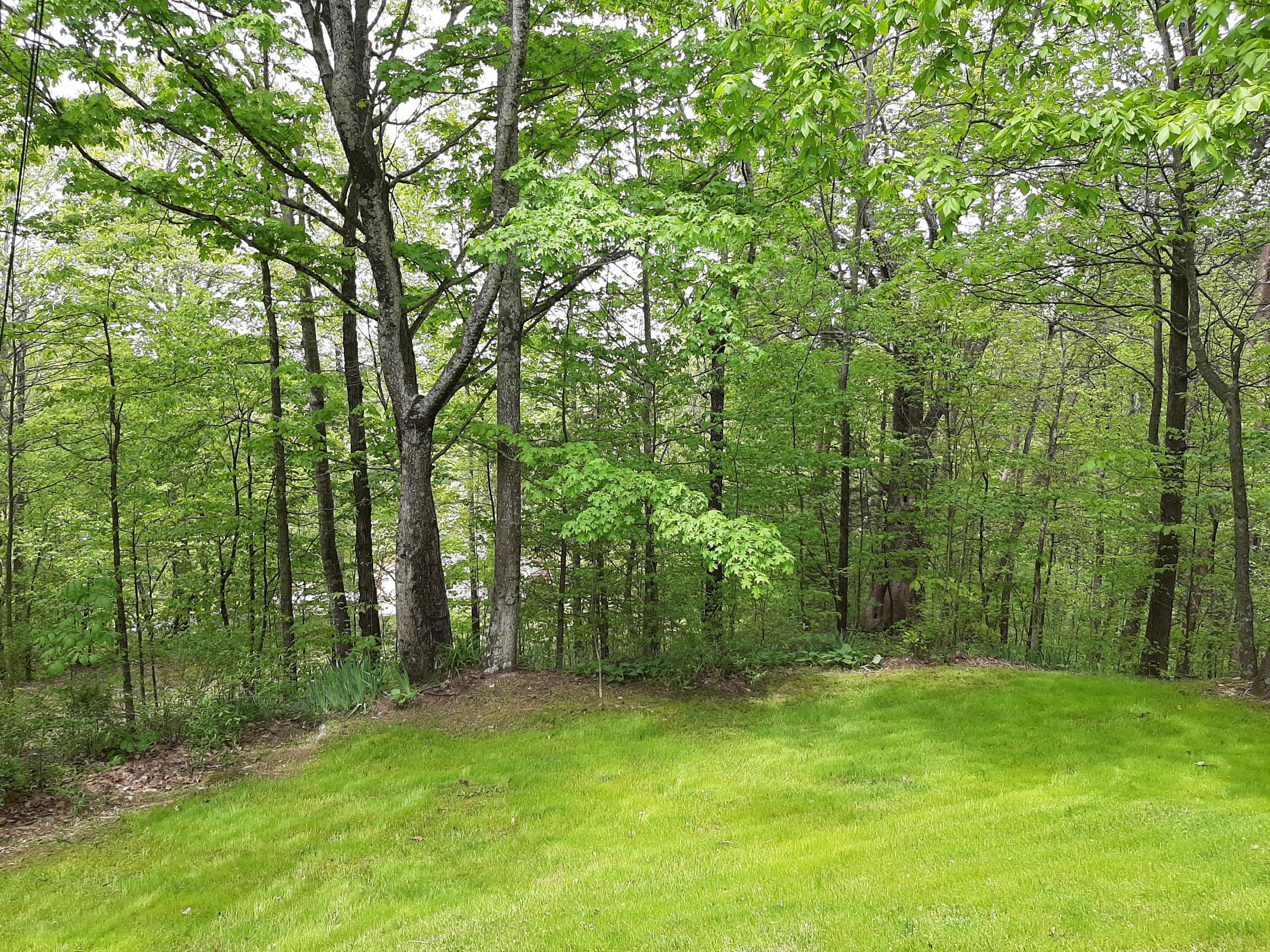 902 Reagan Springs Road Seymour, TN 37865 - Photo 11 of 40 20200422_131607