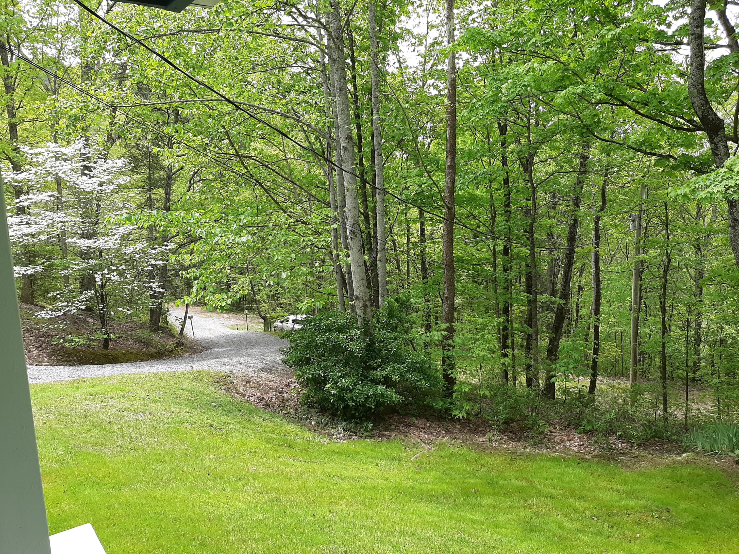 902 Reagan Springs Road Seymour, TN 37865 - Photo 12 of 40 20200422_131410