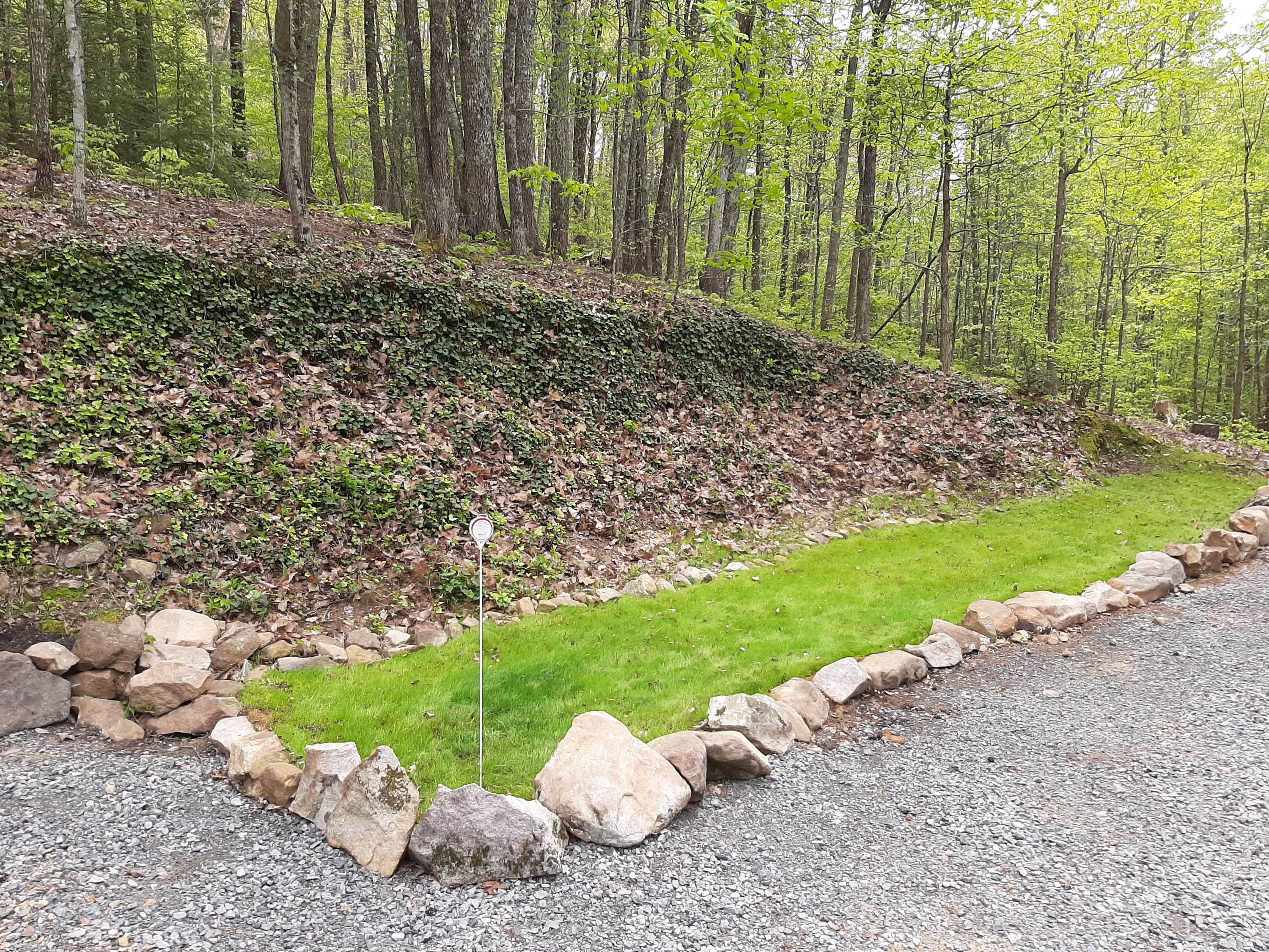 902 Reagan Springs Road Seymour, TN 37865 - Photo 18 of 40 20200422_131650