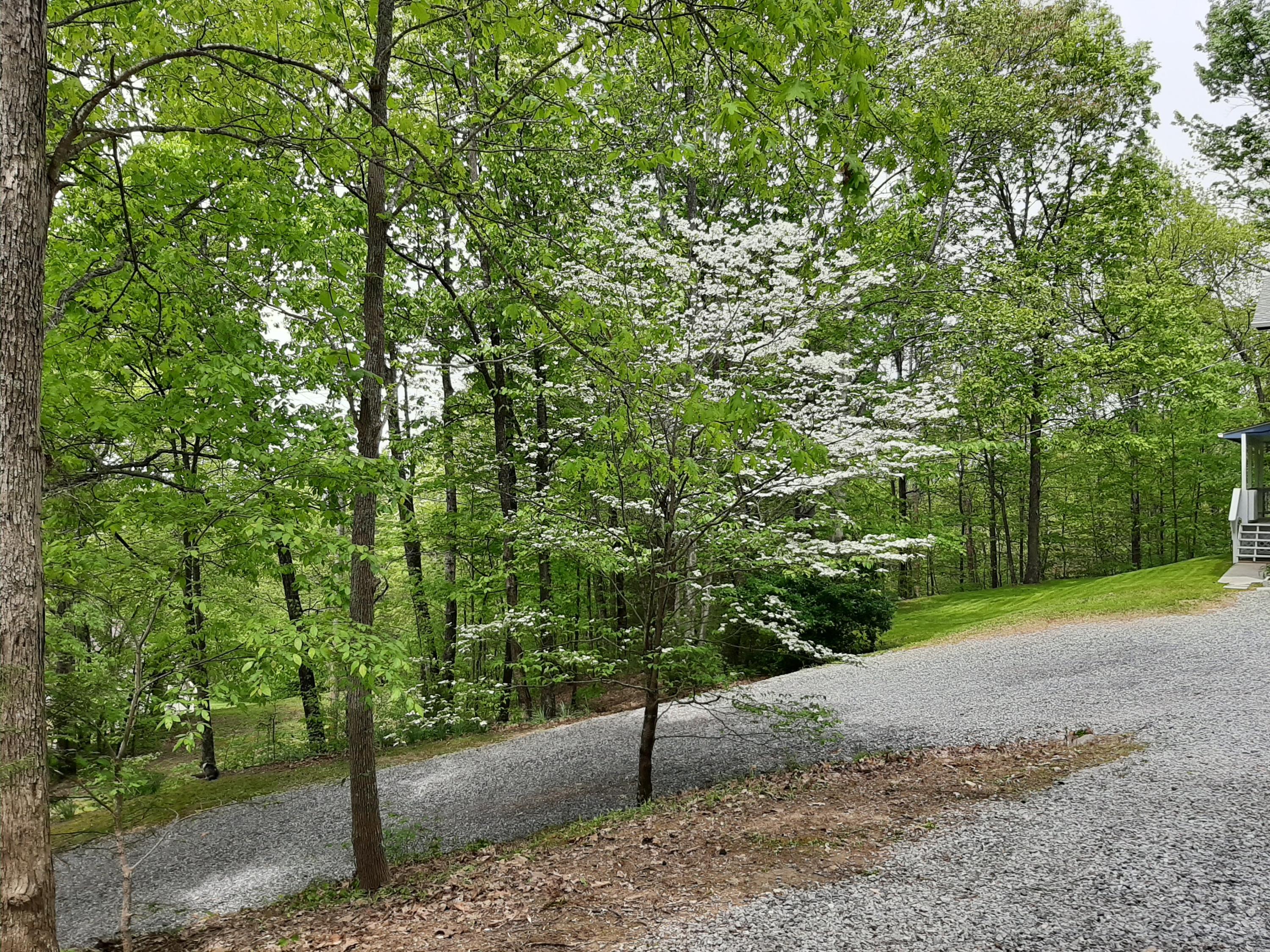 902 Reagan Springs Road Seymour, TN 37865 - Photo 19 of 40 20200422_131727