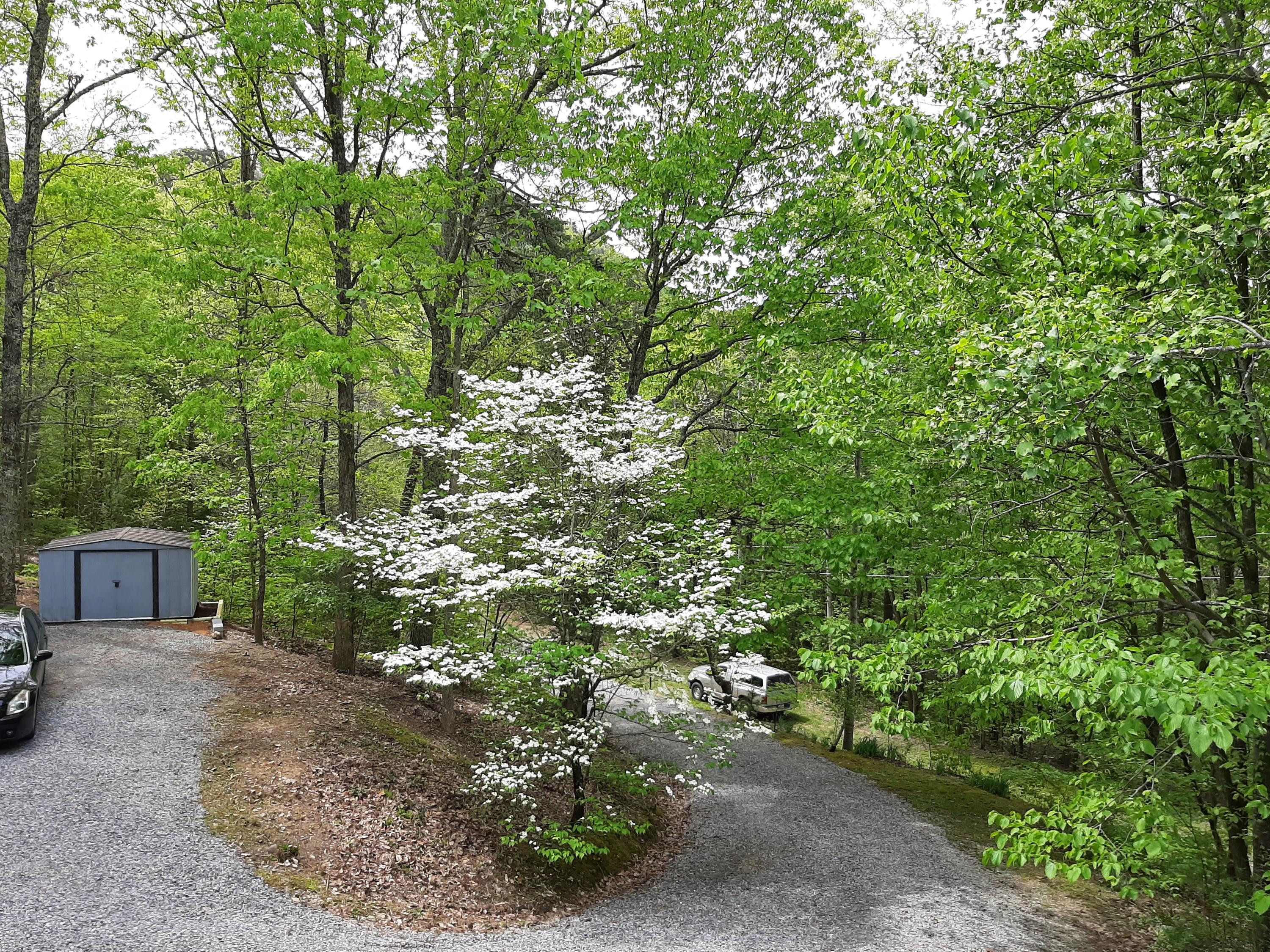902 Reagan Springs Road Seymour, TN 37865 - Photo 33 of 40 20200422_125847