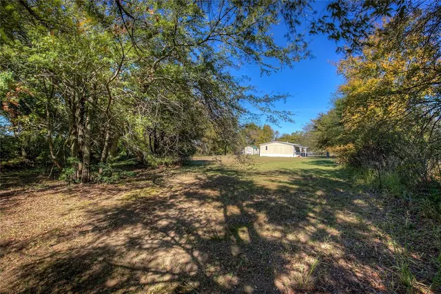 a view of a yard with a tree