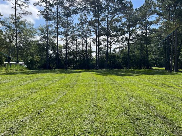 76081 Green Valley Road Folsom, LA 70437 - Photo 2 of 10
