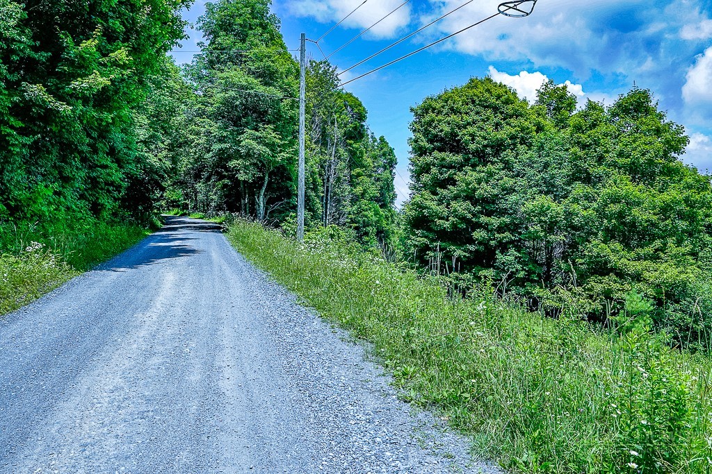 218 Old Mountain Road Banner Elk, NC 28604 - Photo 4 of 34 Gallery Image 4