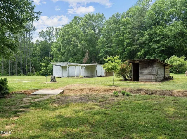 a view of a garden with a tree