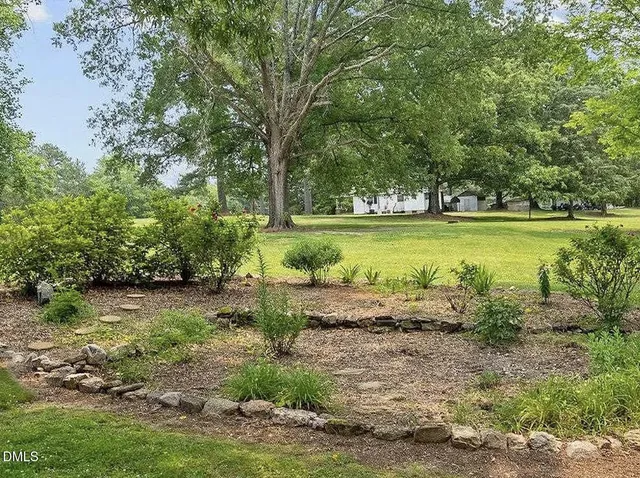 a view of a forest with a houses