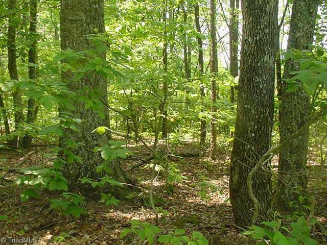 0 Tom Smith Road Westfield, NC 27053 - Photo 7 of 9 Other. Property has some timber value.