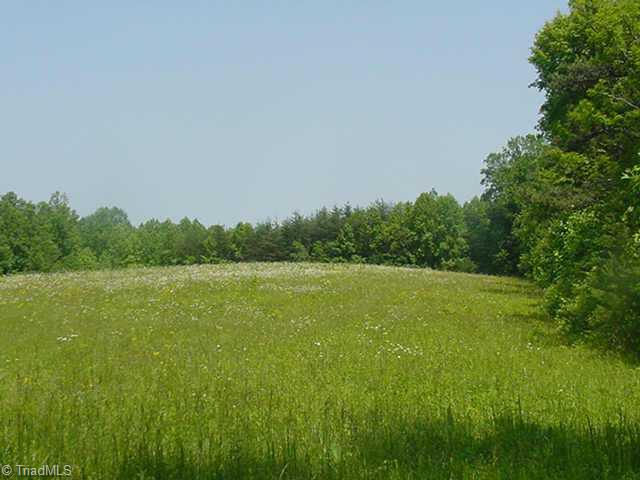 0 Tom Smith Road Westfield, NC 27053 - Photo 8 of 9 Other. 5-6 Acre Pasture.