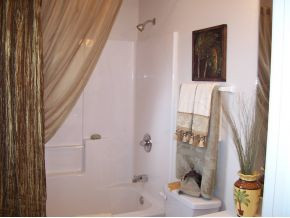 185 New Hope Road Jonesborough, TN 37659 - Photo 9 of 12 Model Master Bath