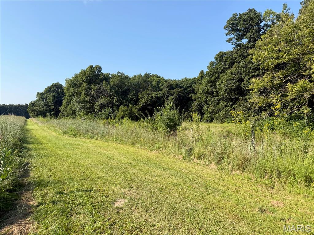 0 County Road Strasburg, IL 62465 - Photo 91 of 97 Gallery Image 91