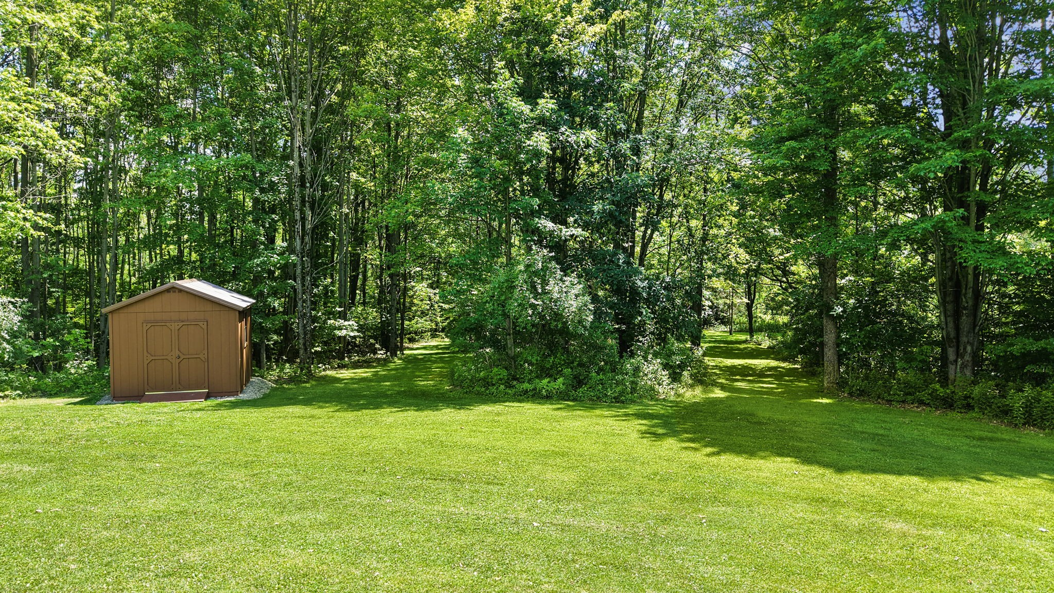 786 Harnecky Road Newark Valley, NY 13811 - Photo 9 of 50