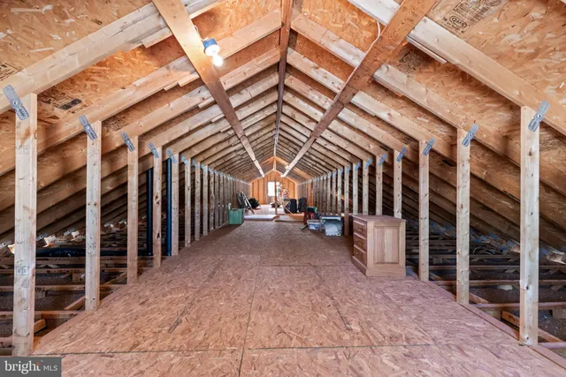 a view of backyard of the house