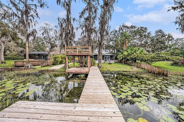 a view of a yard with plants