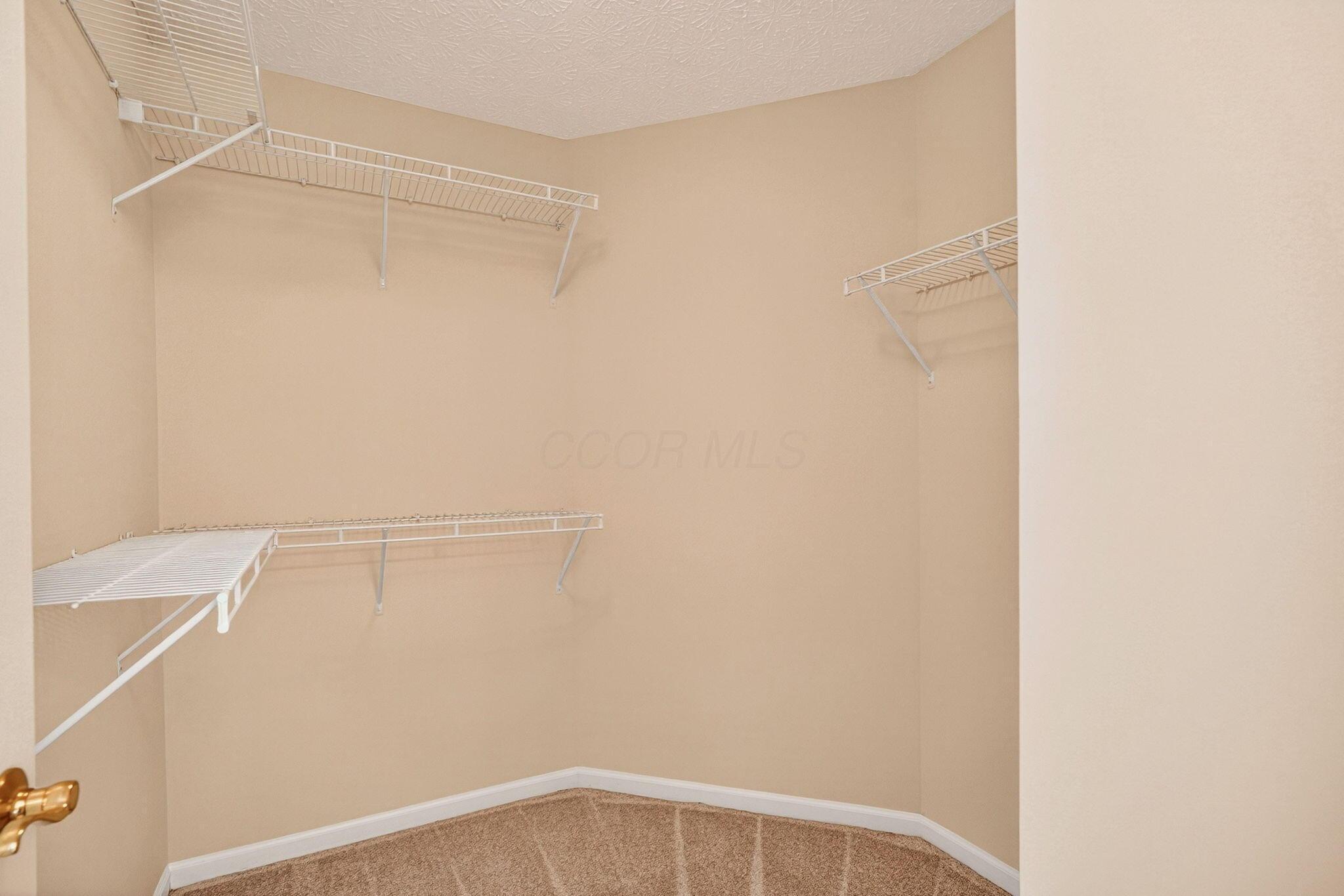 3731 Stoneway Point Powell, OH 43065 - Photo 31 of 47 Primary walk in closet