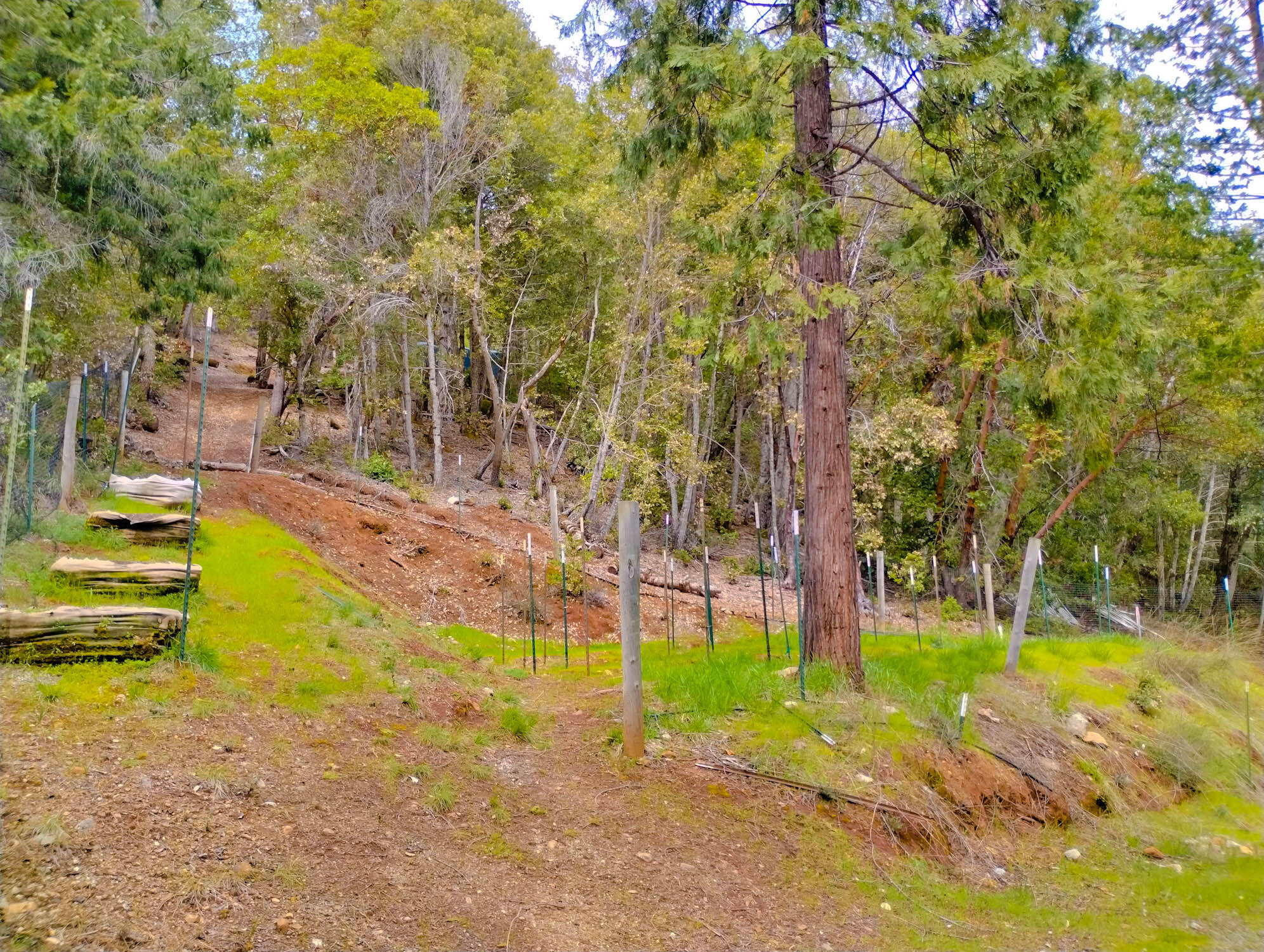 1008 M&w Ranch Road Willow Creek, CA 95573 - Photo 36 of 59 MW-40