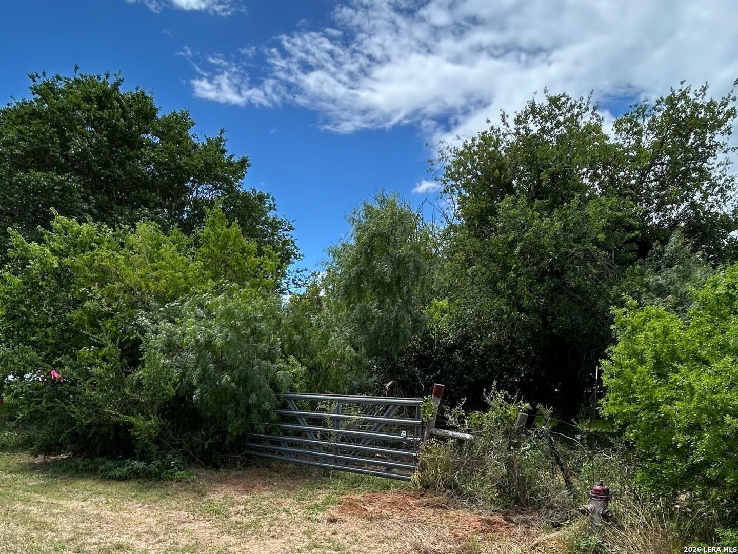 1460 Sandy Elm Road La Vernia, TX 78121 - Photo 16 of 25
