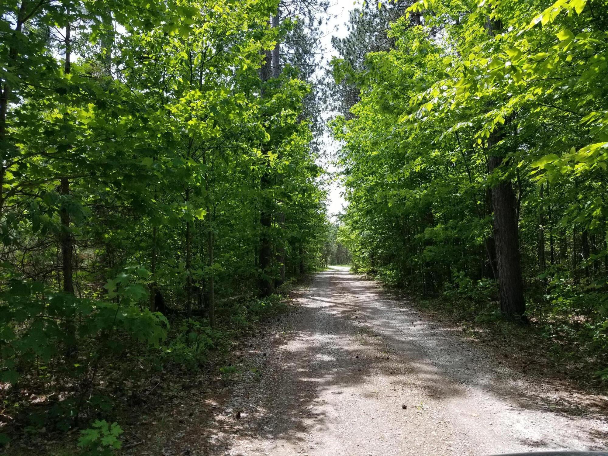 5257 Alba Road Gaylord, MI 49735 - Photo 14 of 17 Gallery Image 14