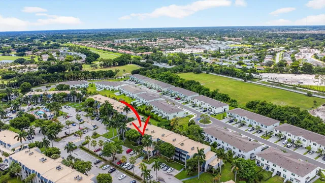 a view of a garden with plants and large trees