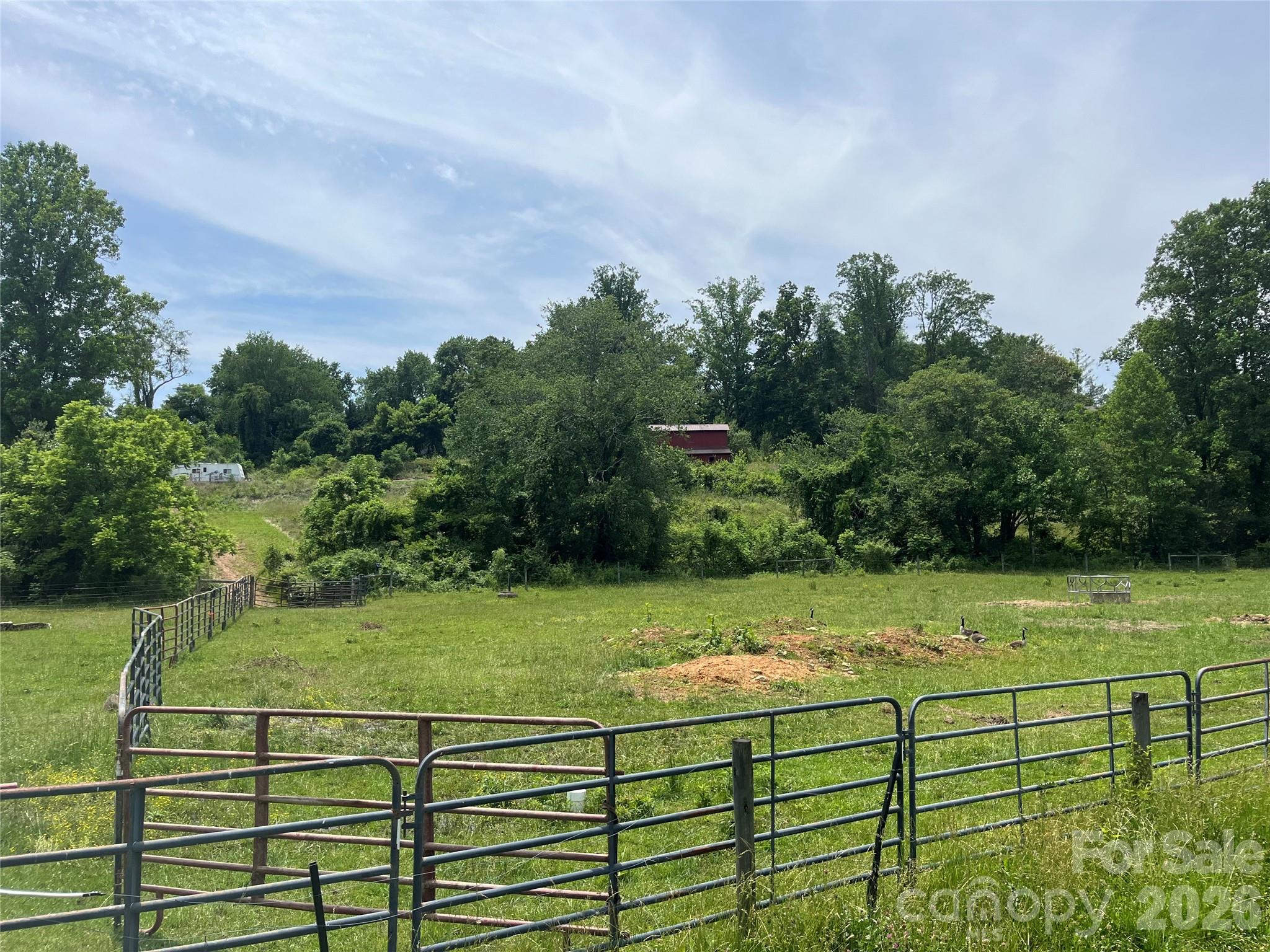 99999 Jones Road Fletcher, NC 28732 - Photo 4 of 17
