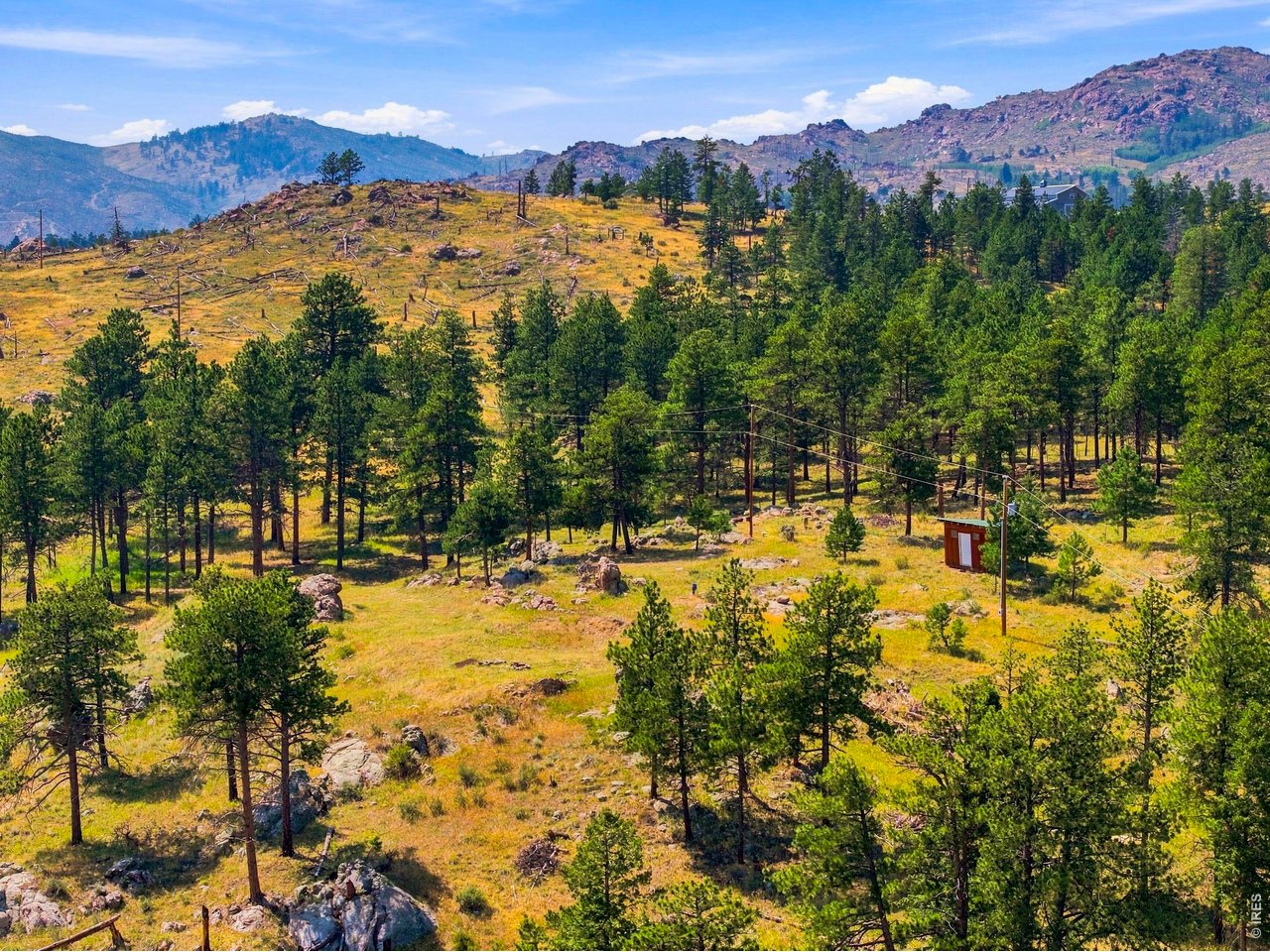 2721 Davis Ranch Road Bellvue, CO 80512 - Photo 25 of 26 A stand of large pine trees surround the build area