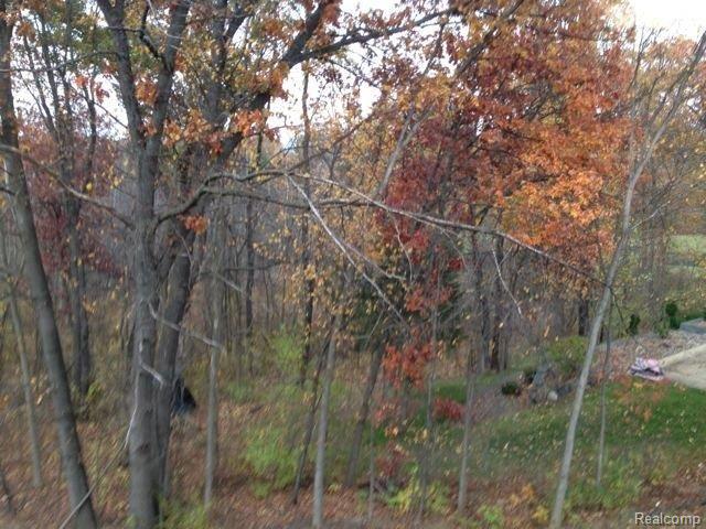 4791 Timber Ridge Drive Romeo, MI 48065 - Photo 11 of 25 IMG_0126.jpg
