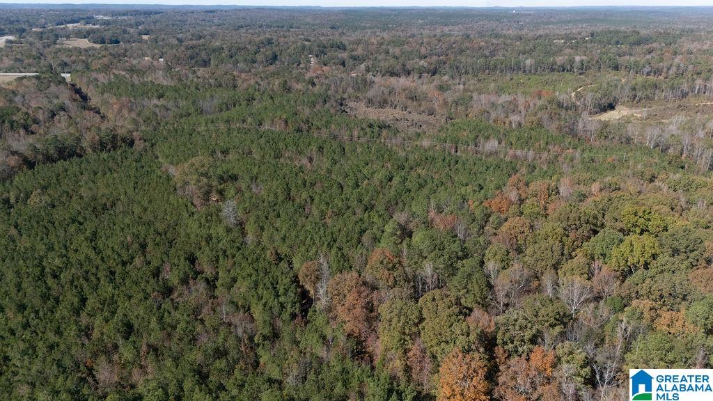 1122 Montevallo Road Centreville, AL 35042 - Photo 69 of 69