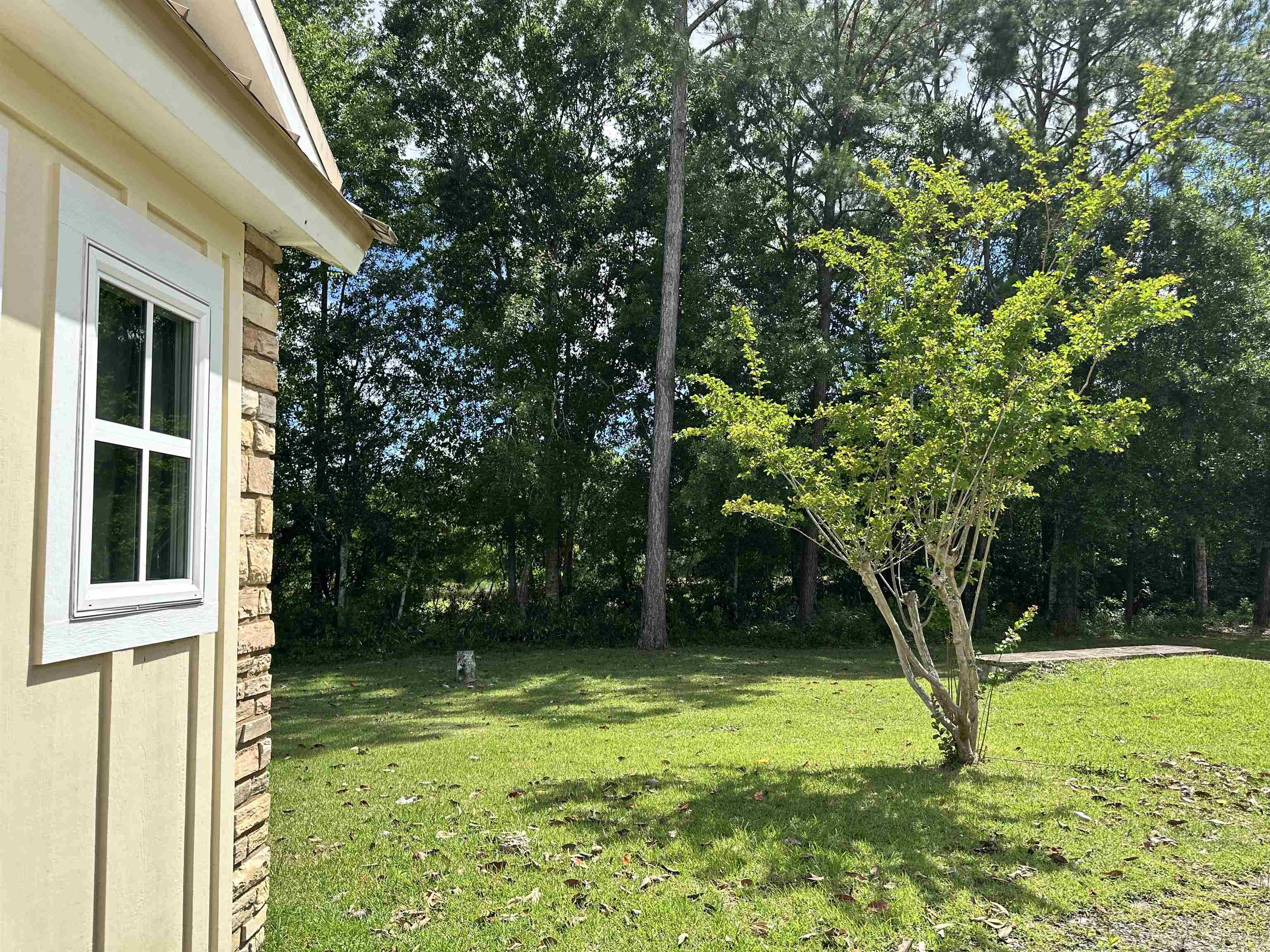 0 Gateway Drive Elberta, AL 36530 - Photo 12 of 50 Yard