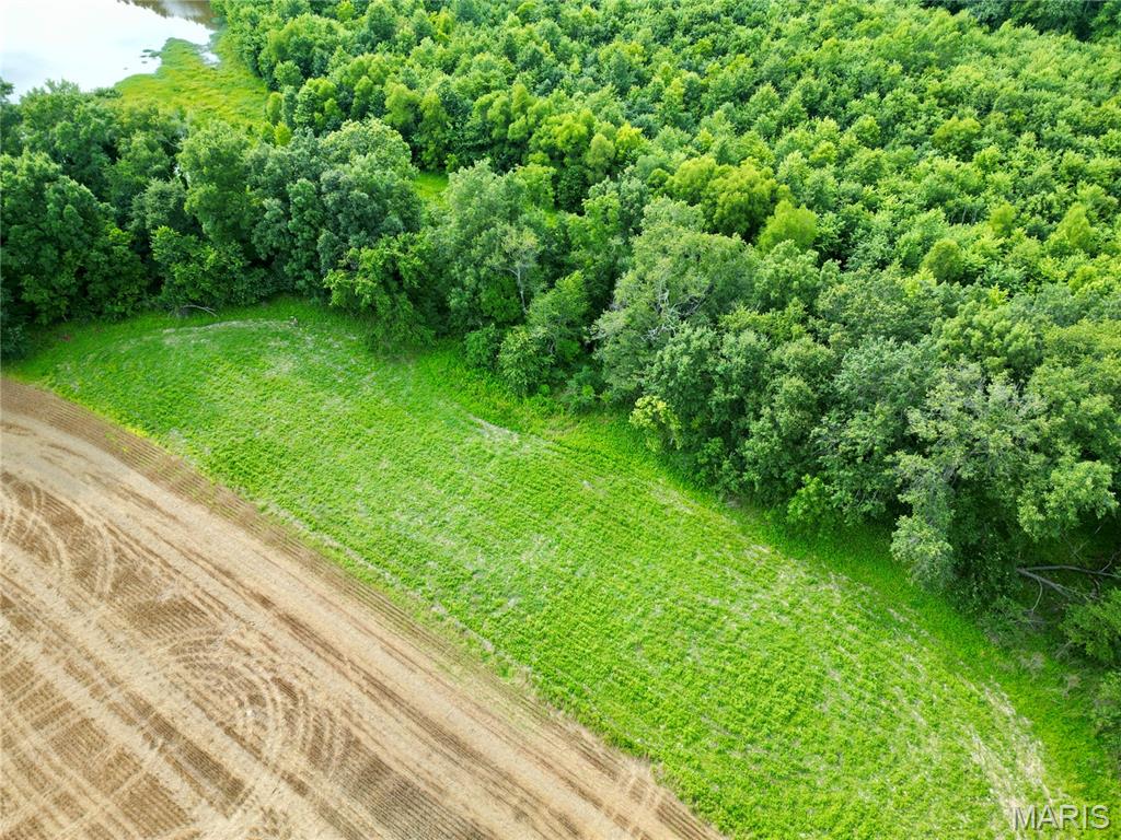 0 Church Road Salem, IL 62881 - Photo 10 of 29