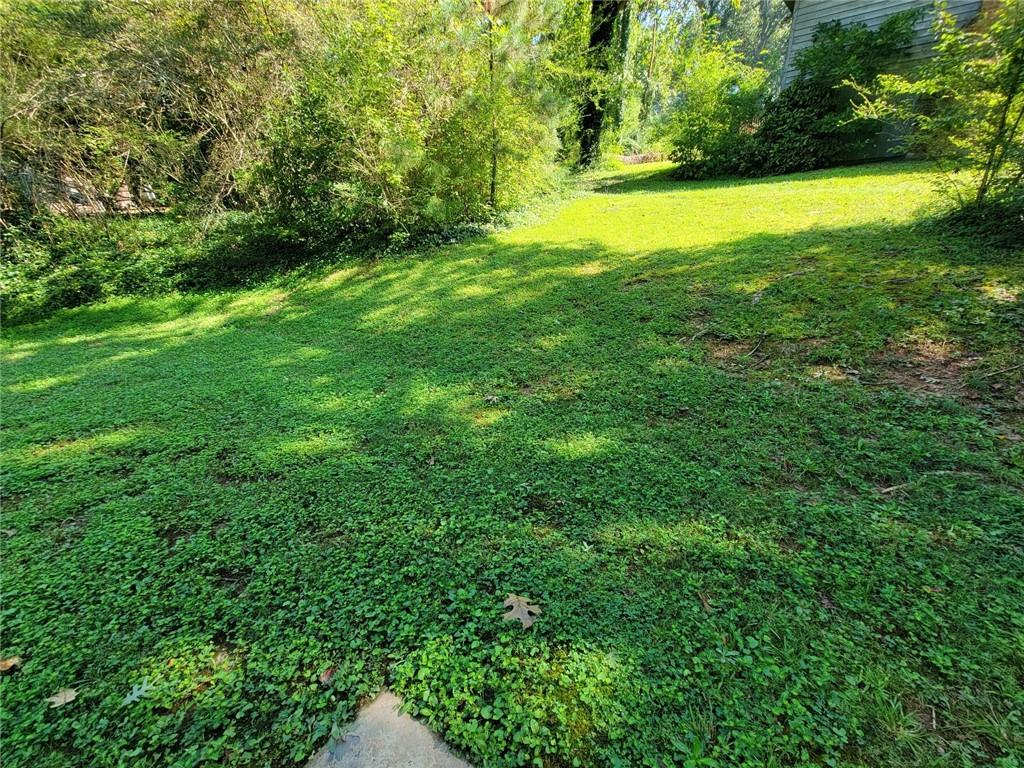 3166 Big Springs Court Decatur, GA 30034 - Photo 4 of 20