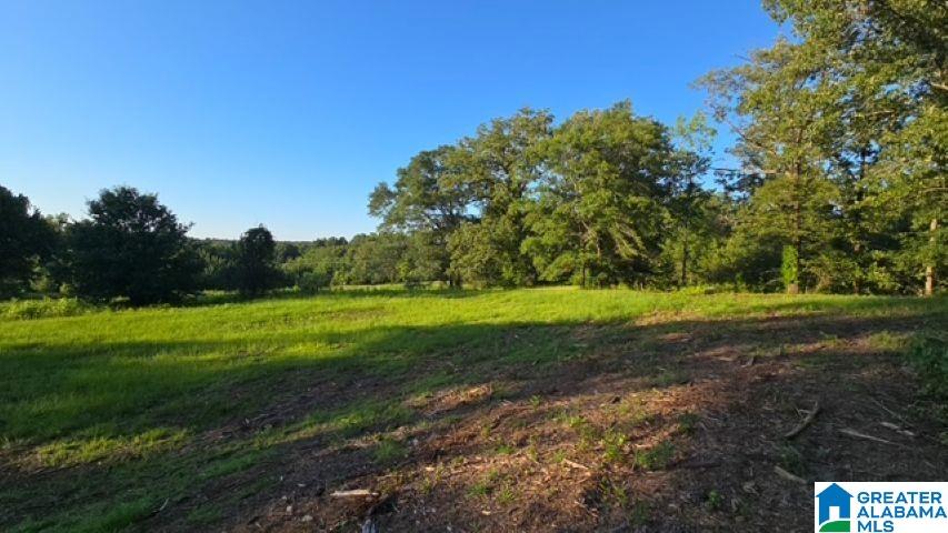 1663 County Road 2 Montevallo, AL 35115 - Photo 32 of 46