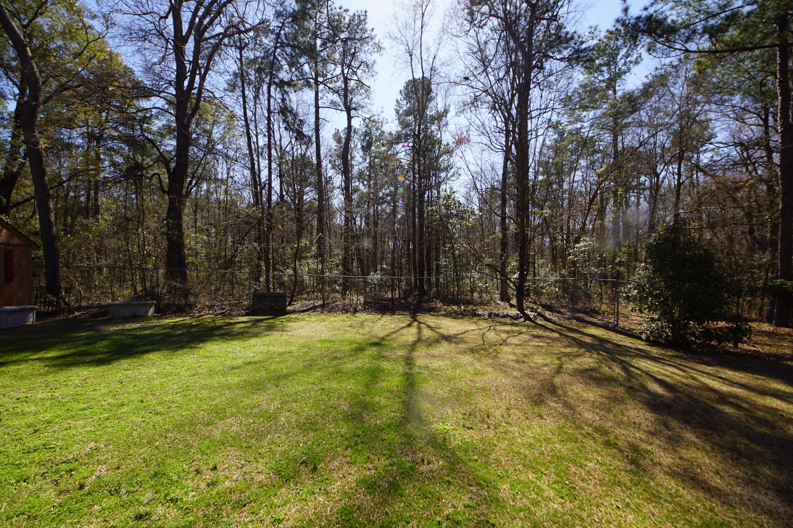 202 Autumn Run Road St. George, SC 29477 - Photo 20 of 48 030821 264