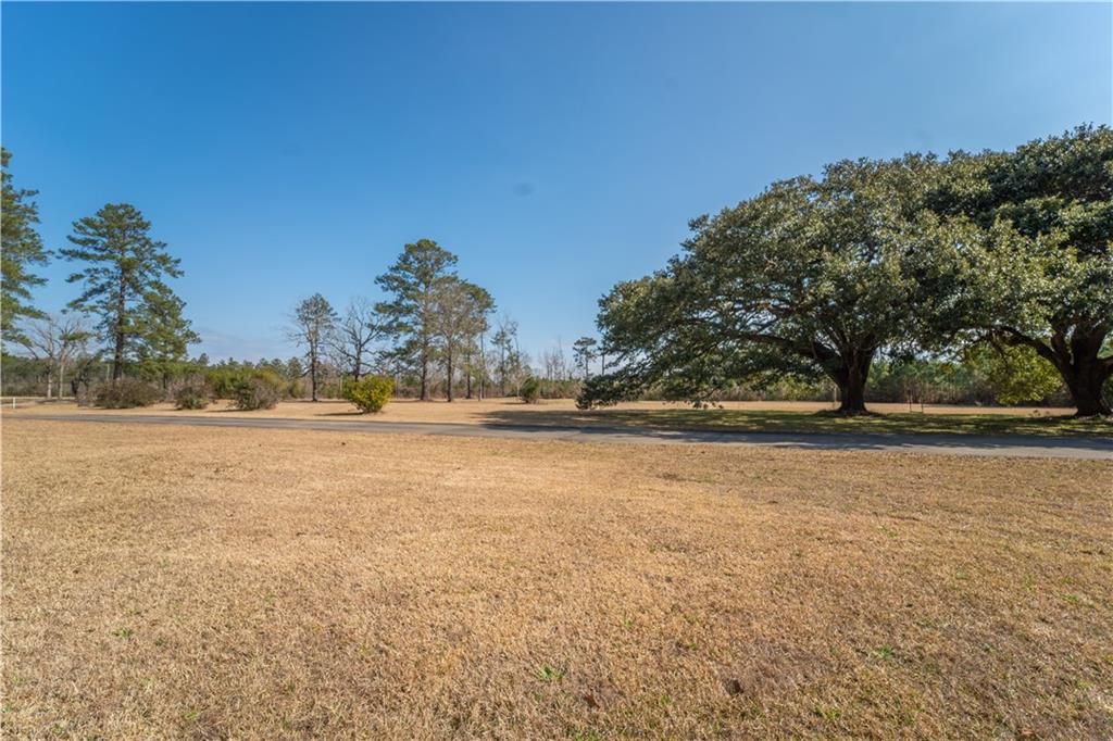 696 Melder Road Glenmora, LA 71433 - Photo 35 of 36 Gallery Image 35