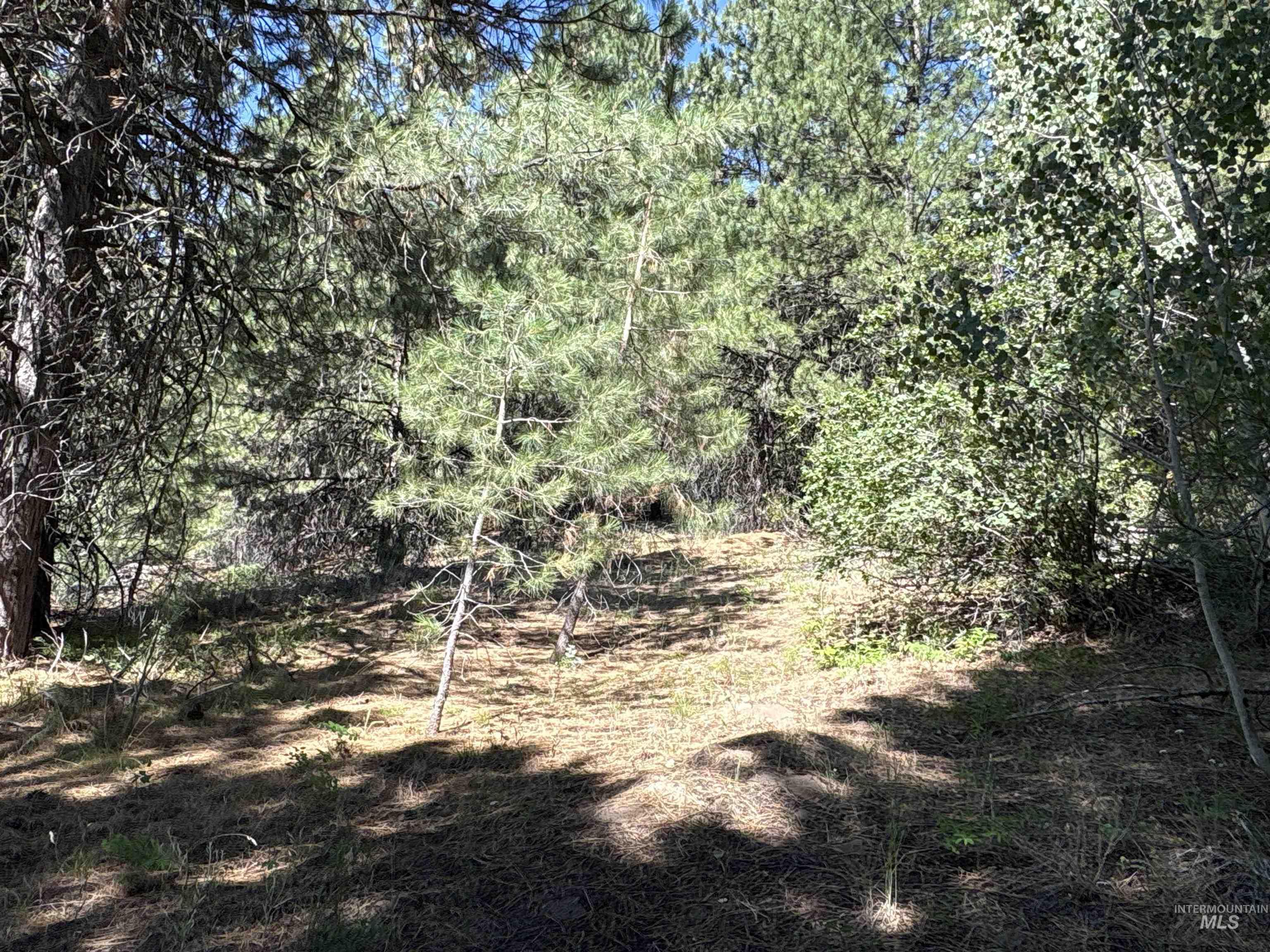 Tbd Smith Creek Road Mountain Home, ID 83647 - Photo 10 of 19