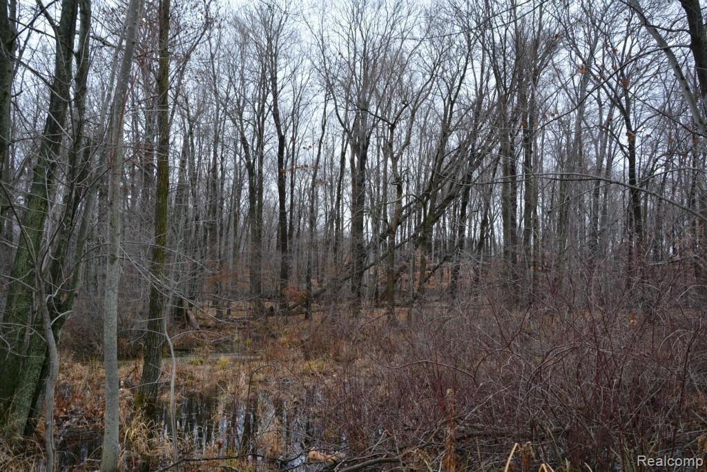 335 Coats Road Lake Orion, MI 48362 - Photo 18 of 48 335 Coats Rd Lake Orion (28).jpg