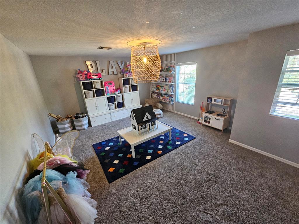 20946 Sullivan Ranch Boulevard Mount Dora, FL 32757 - Photo 18 of 26 a living room with furniture and a chandelier