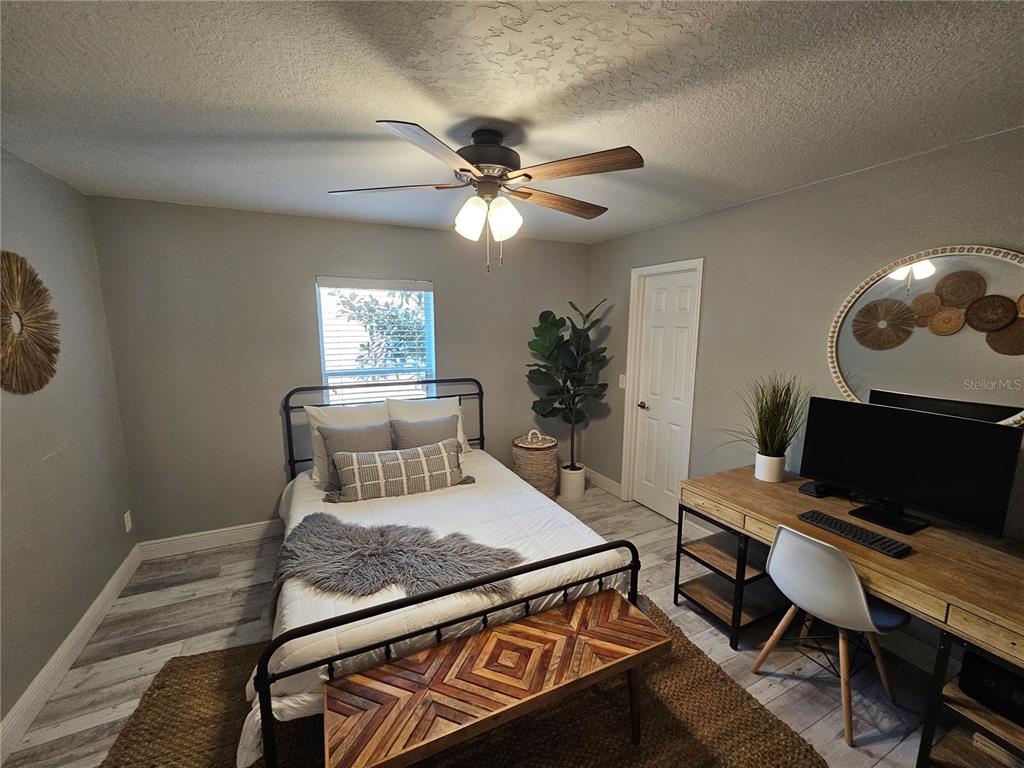 20946 Sullivan Ranch Boulevard Mount Dora, FL 32757 - Photo 19 of 26 a living room with furniture and a potted plant