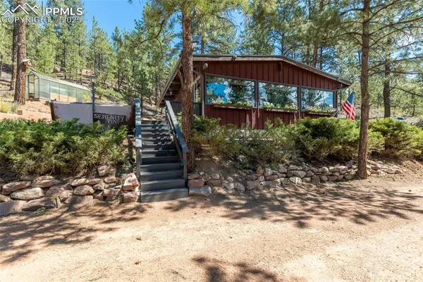 a view of a pathway with a bench in the backyard