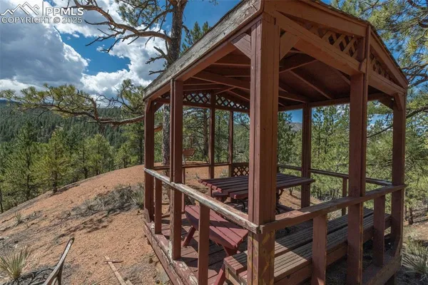a view of a dirt yard with a tree