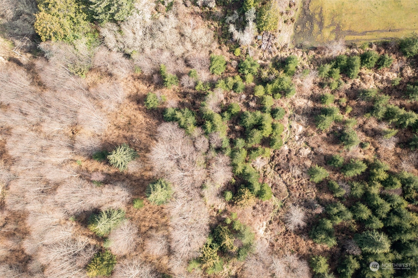 125 Howard Road Port Angeles, WA 98363 - Photo 12 of 18 a view of a field