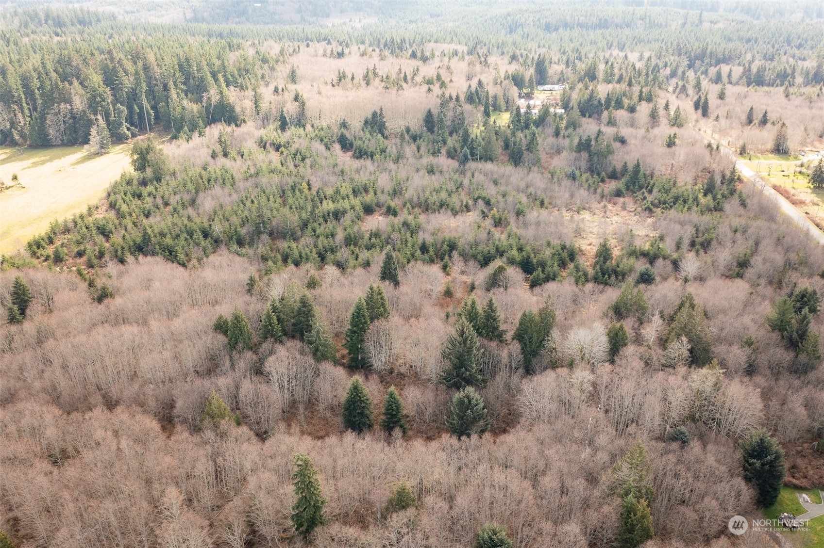 125 Howard Road Port Angeles, WA 98363 - Photo 5 of 18 a view of a yard covered with trees
